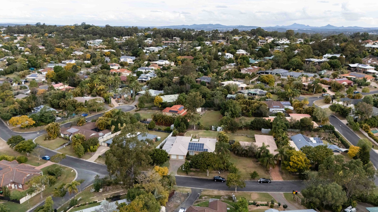 Aerial view of a leafy Brisbane suburb with houses on large blocks