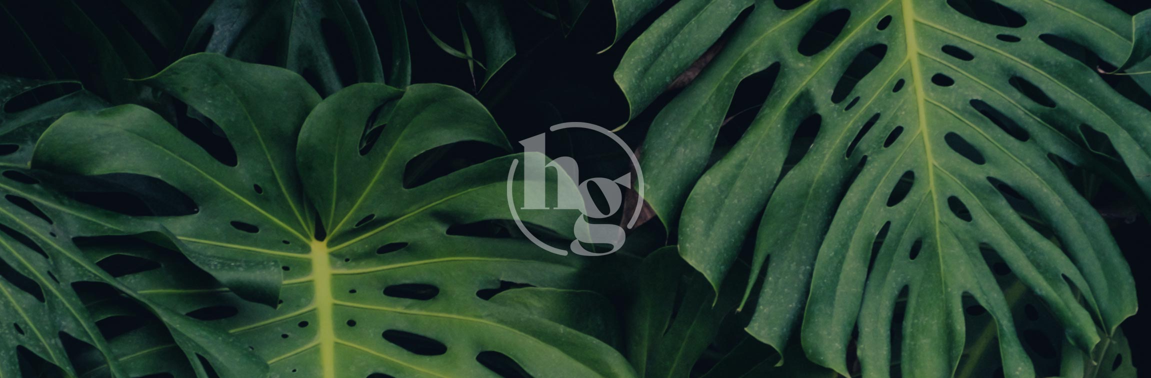 vendor-advocacy-hunter-gather-buyers-agents-brisbane-1