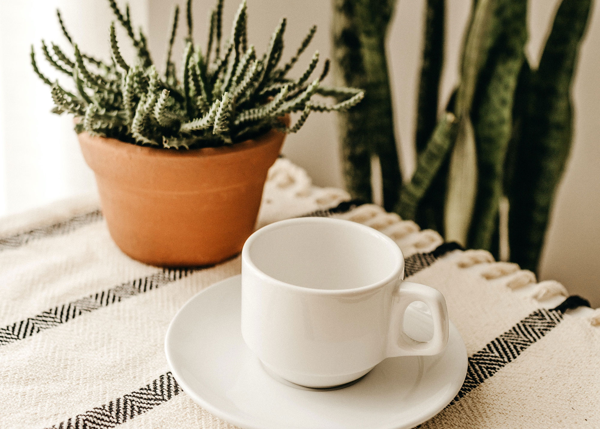 white-cup-with-saucer-1